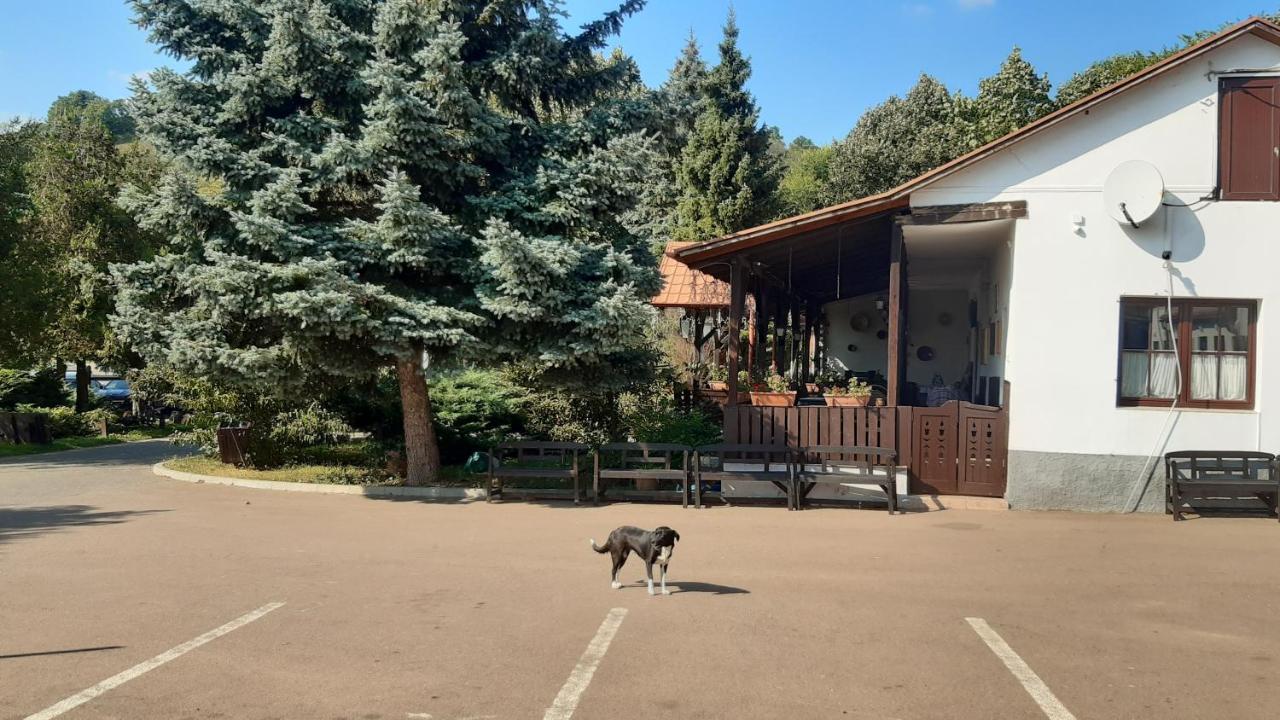 Matyus Udvarhaz Kengyel Fogado Eger Zewnętrze zdjęcie