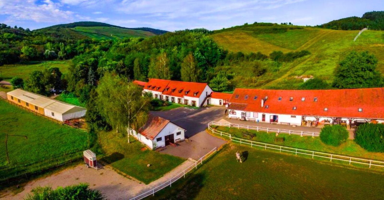 Matyus Udvarhaz Kengyel Fogado Eger Zewnętrze zdjęcie